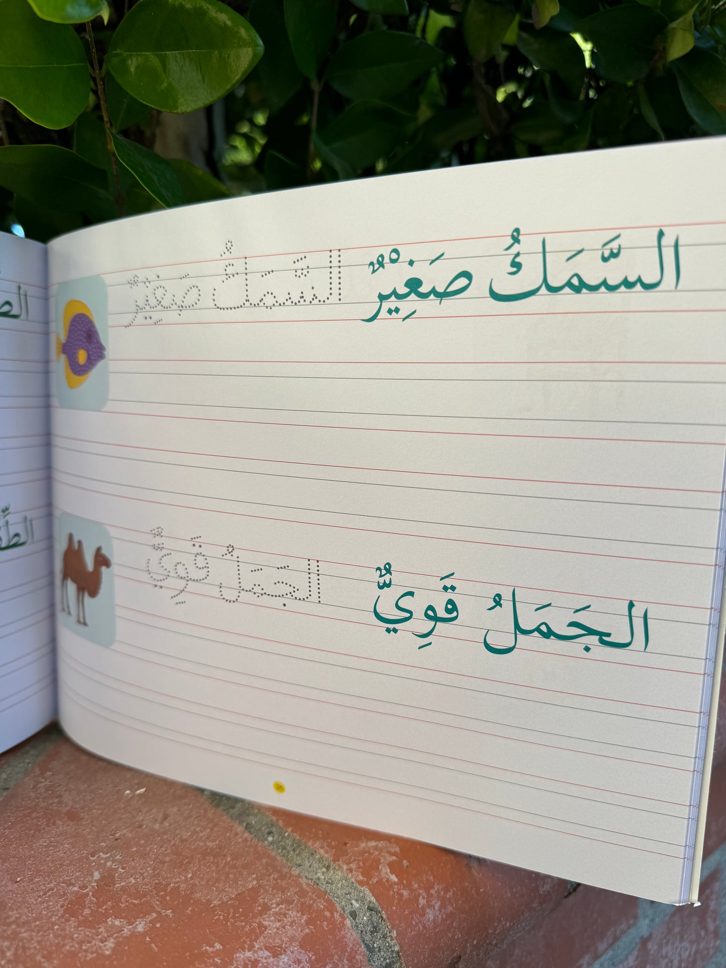 Arabic Writing GRADE 3