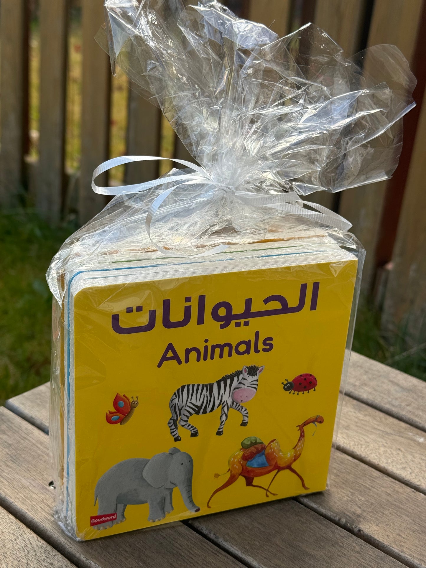 Baby/Toddler Arabic Gift Book Set