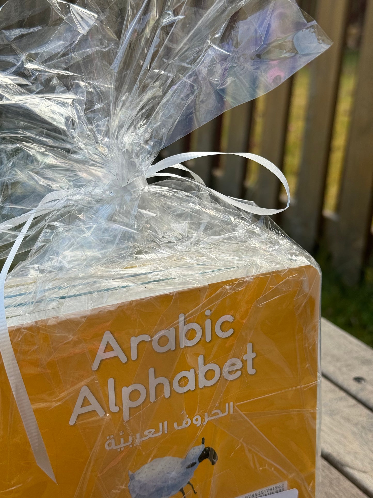 Baby/Toddler Arabic Gift Book Set